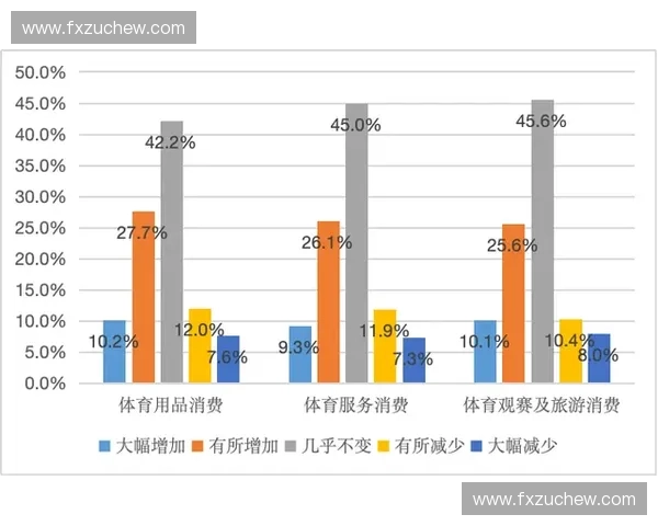 体育新消费驱动下的产业升级与城市生活方式重构探索发展路径研究